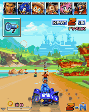 Sonic and Sega All Stars Racing2.png